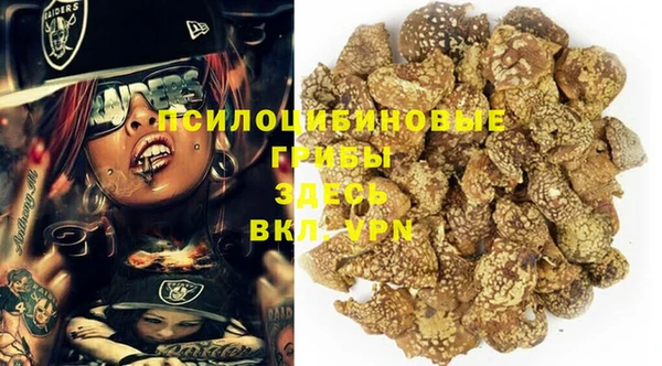 скорость Алзамай