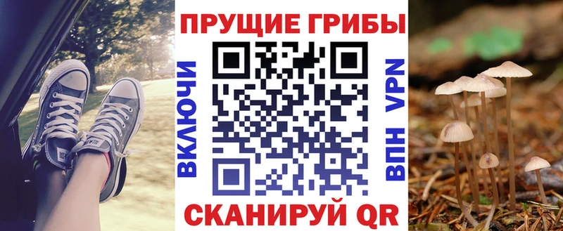 цена наркотик  Сыктывкар  кракен рабочий сайт  Галлюциногенные грибы прущие грибы 