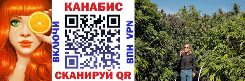 Бошки Шишки план Сыктывкар